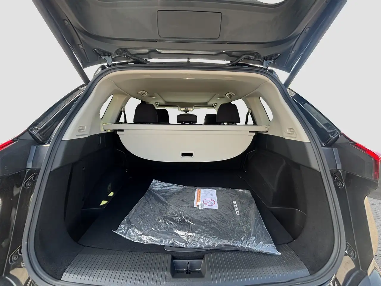 Nissan Rogue photo Nissan Rogue