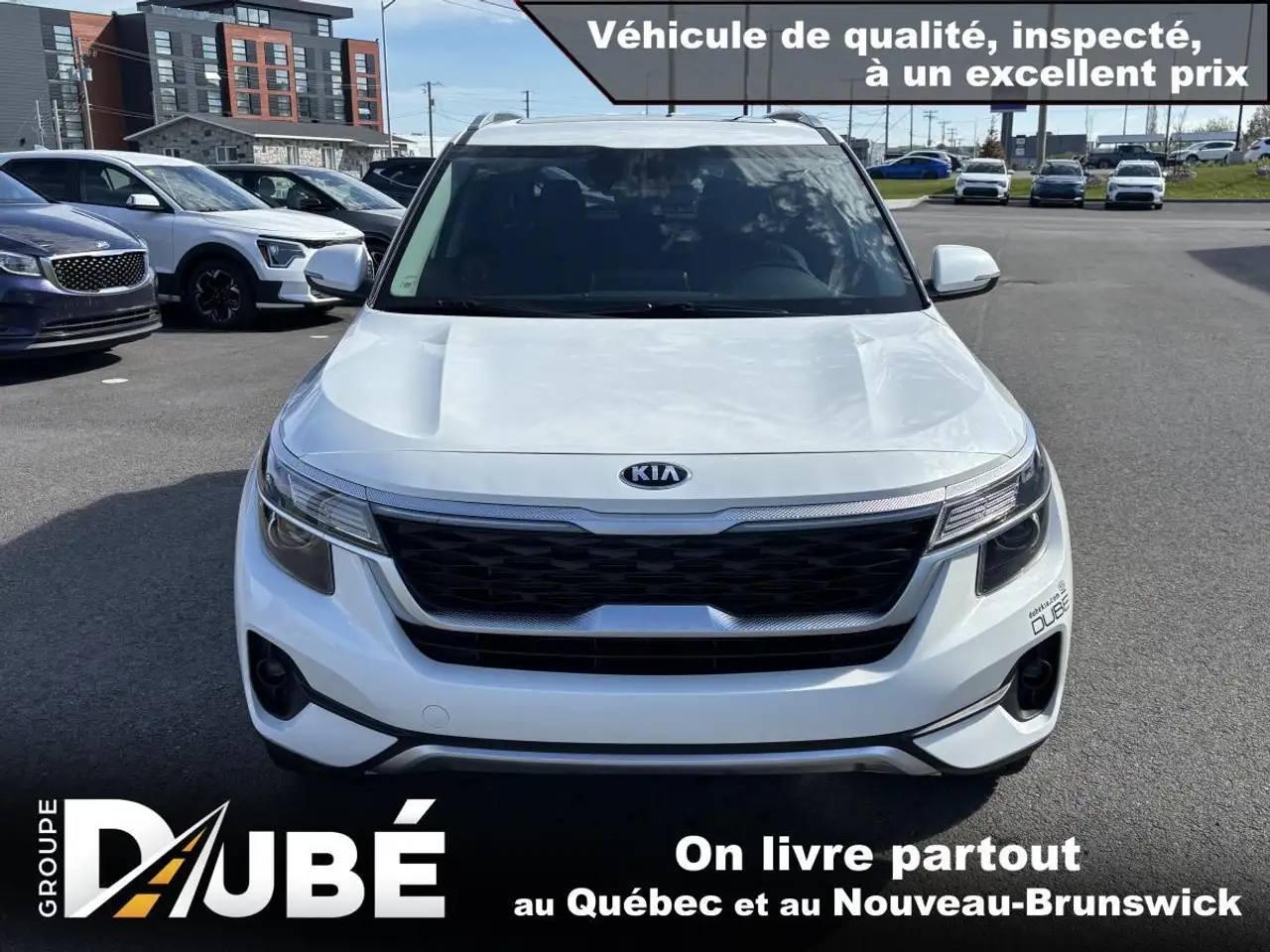 Kia Seltos fotografie Kia Seltos