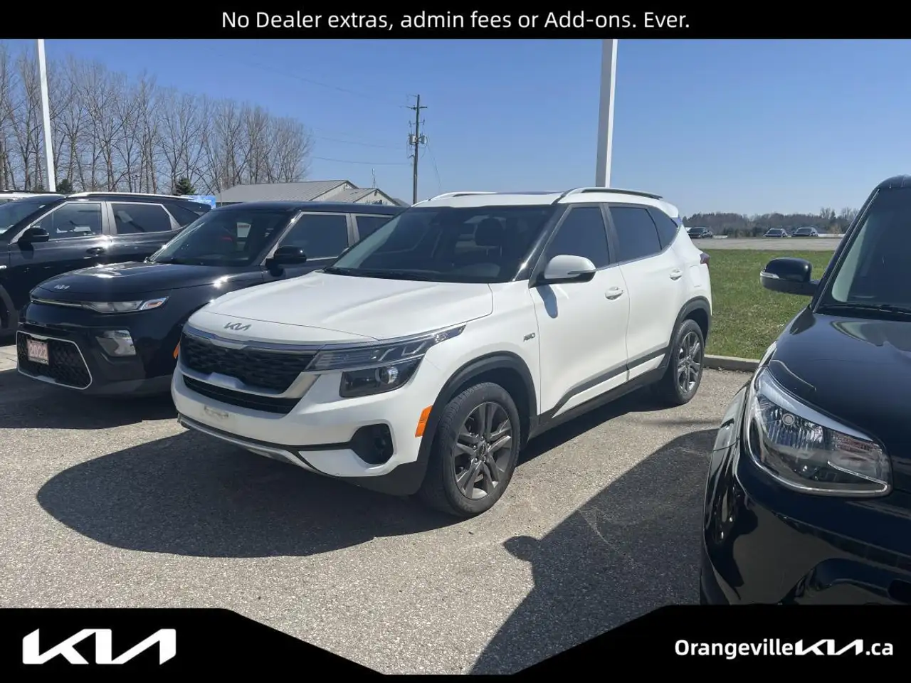 2022 Kia Seltos