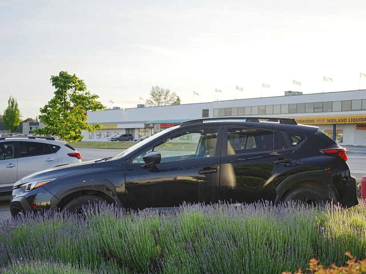 Subaru Crosstrek fotografie Subaru Crosstrek
