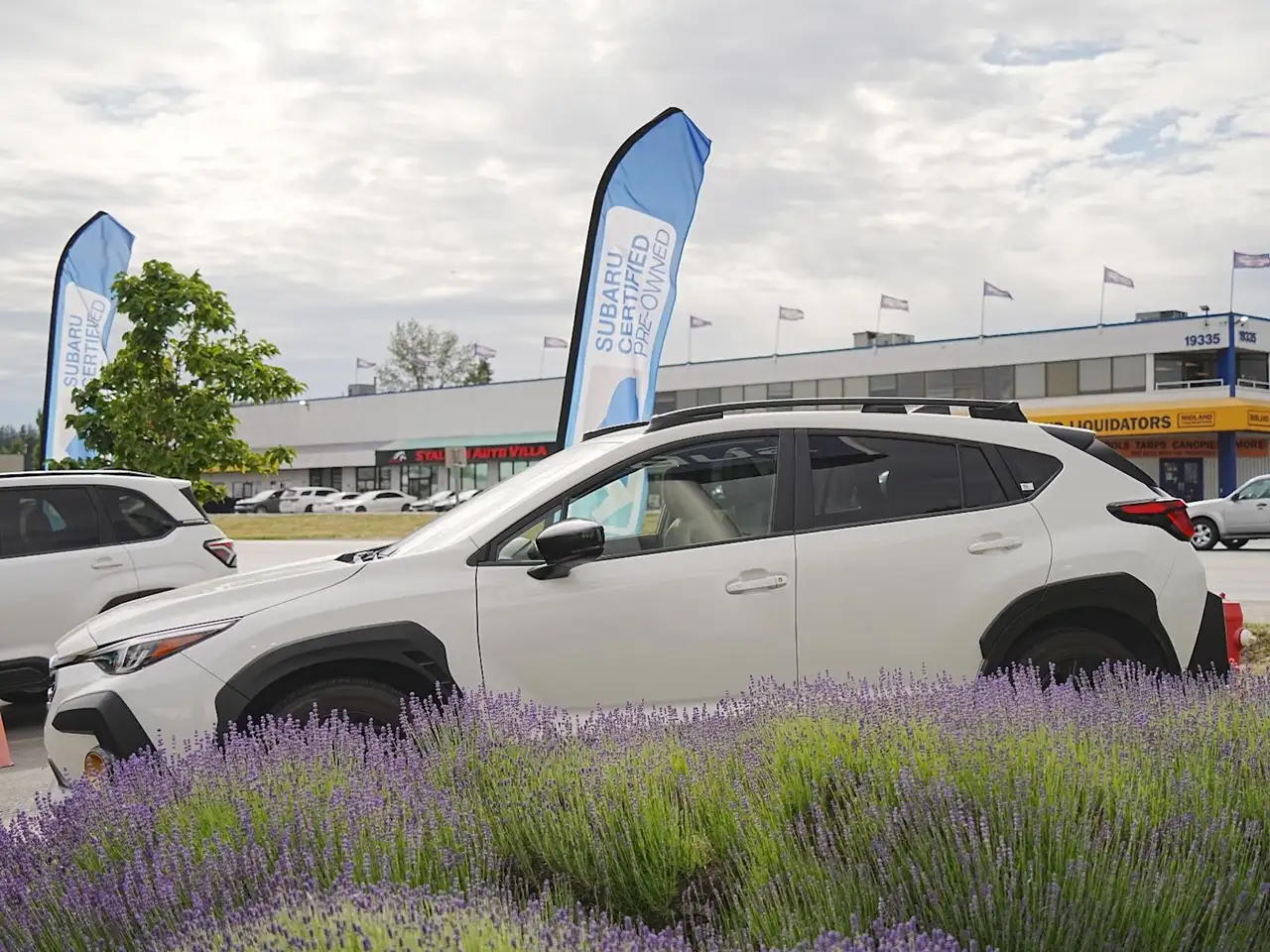 Subaru Crosstrek снимка Subaru Crosstrek
