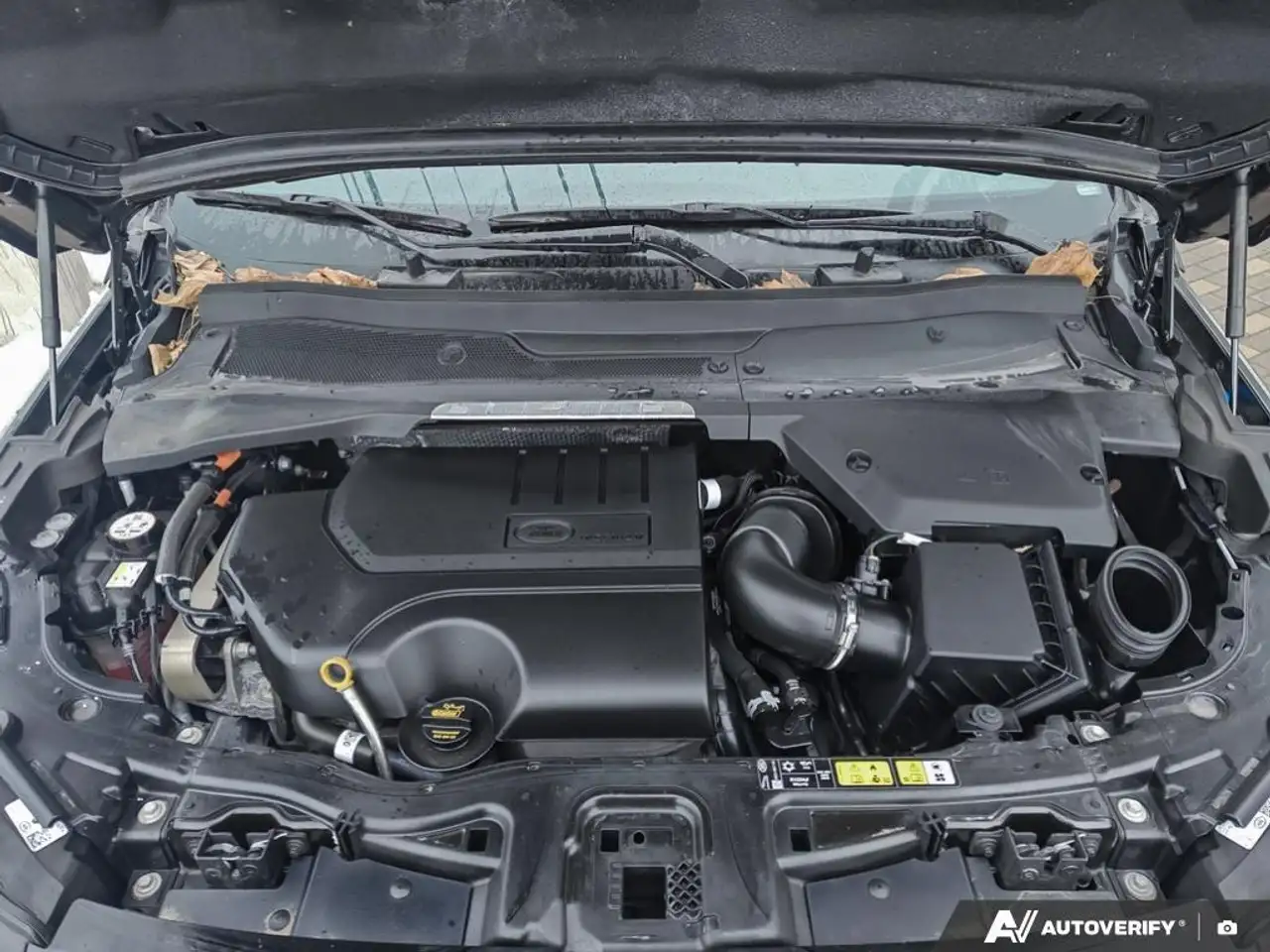 Land Rover Discovery Sport fotografie Land Rover Discovery Sport