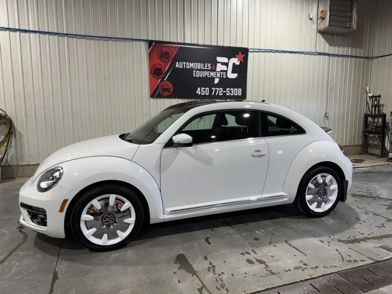 Volkswagen Beetle photo Volkswagen Beetle