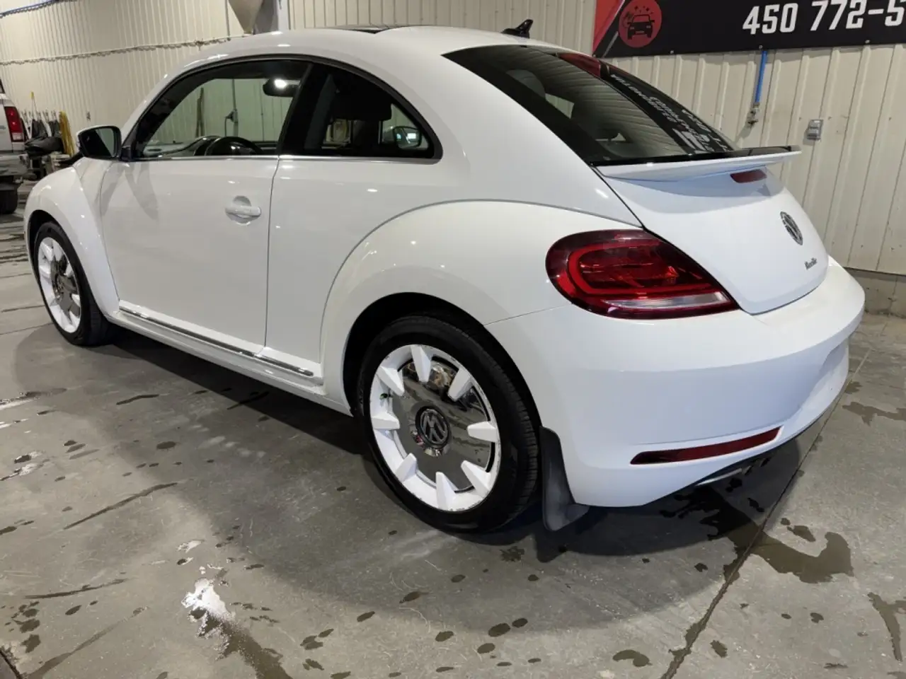 Volkswagen Beetle photo Volkswagen Beetle