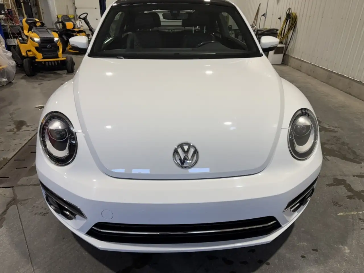 Volkswagen Beetle photo Volkswagen Beetle