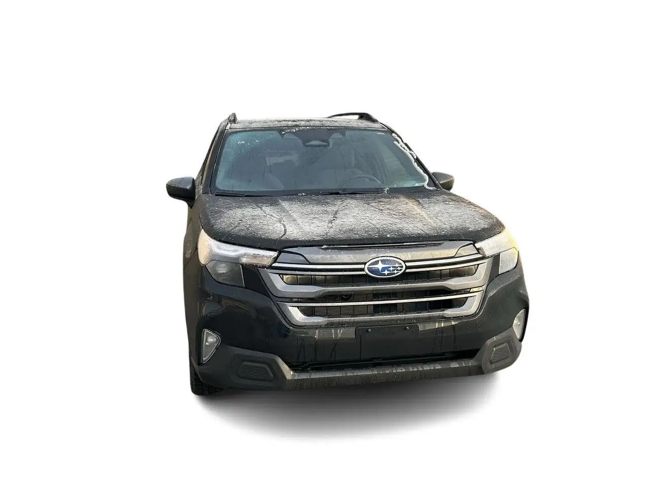 Subaru Forester fotografie Subaru Forester