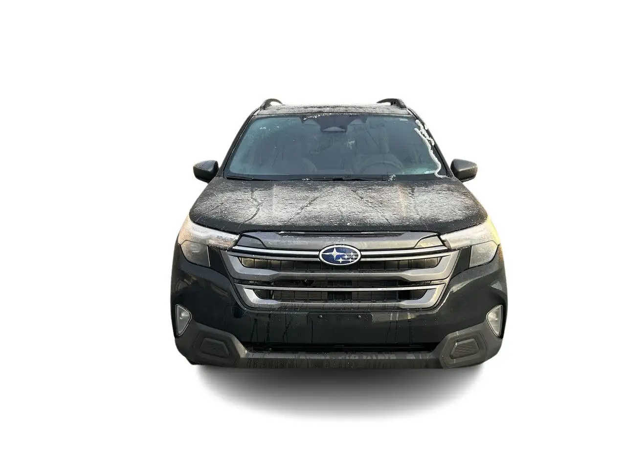 Subaru Forester fotografie Subaru Forester