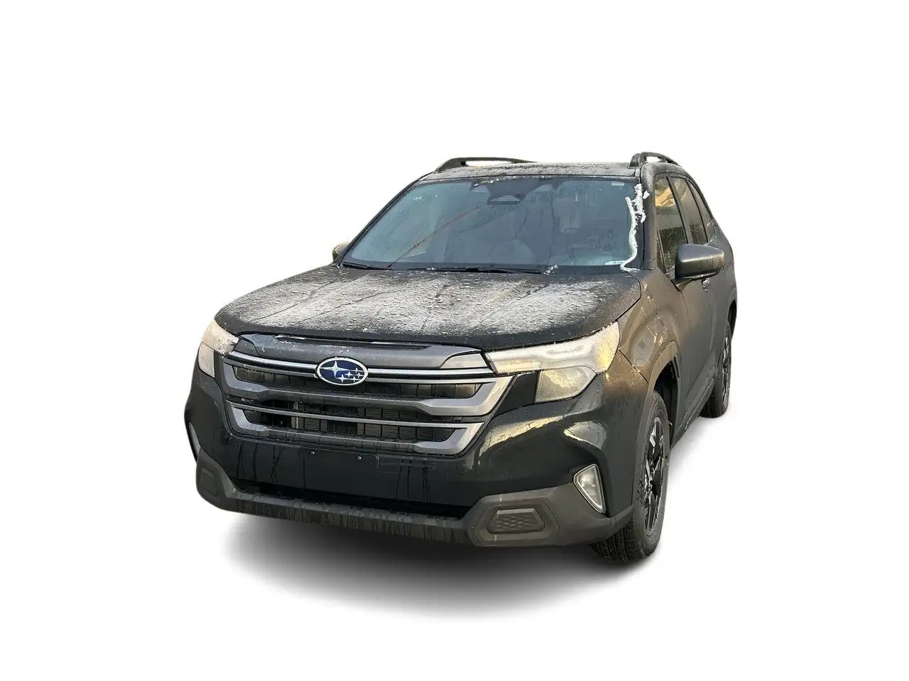 Subaru Forester fotografie Subaru Forester