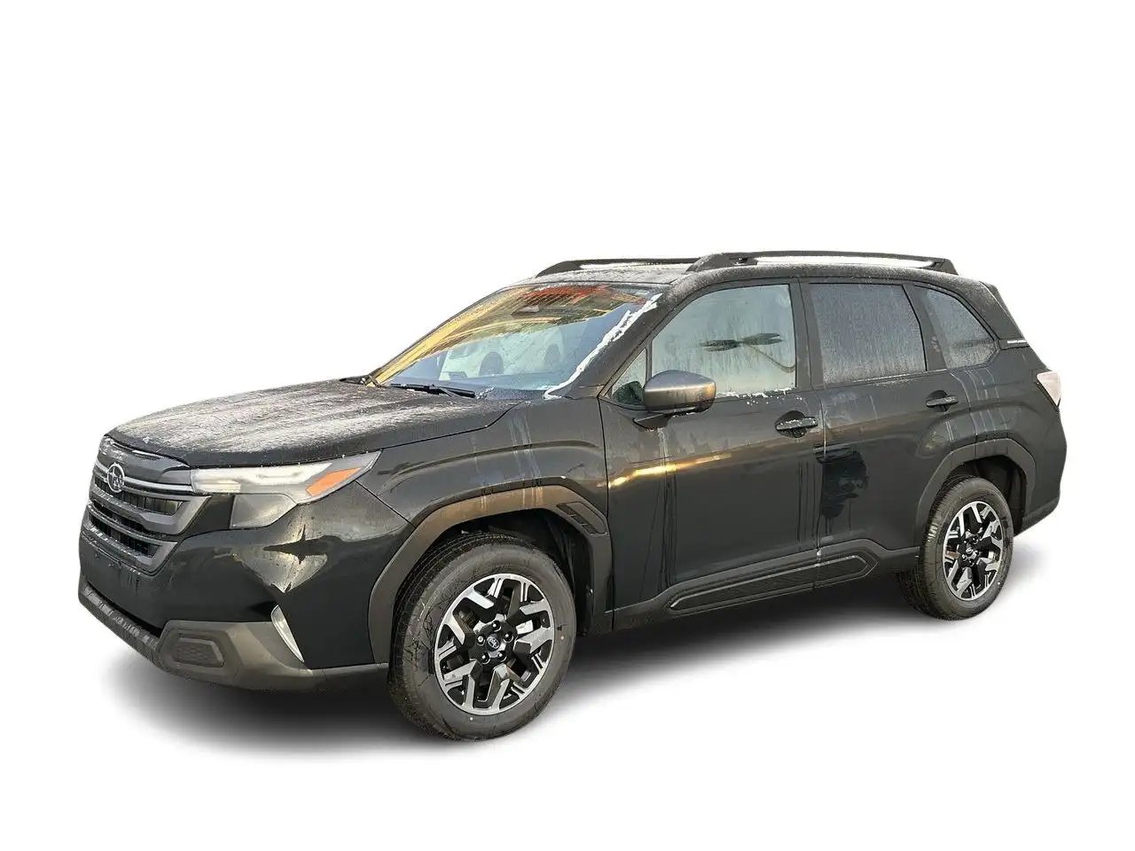 Subaru Forester fotografie Subaru Forester