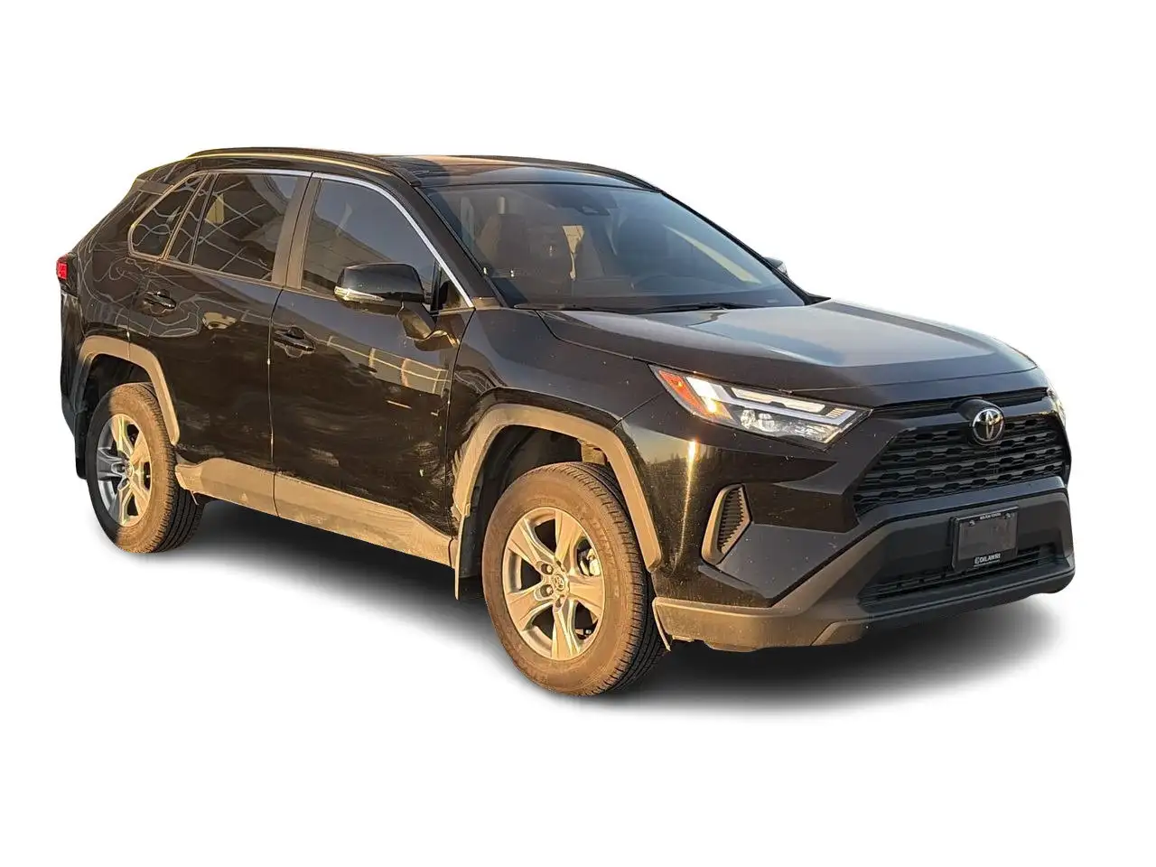 2025 Toyota RAV 4
