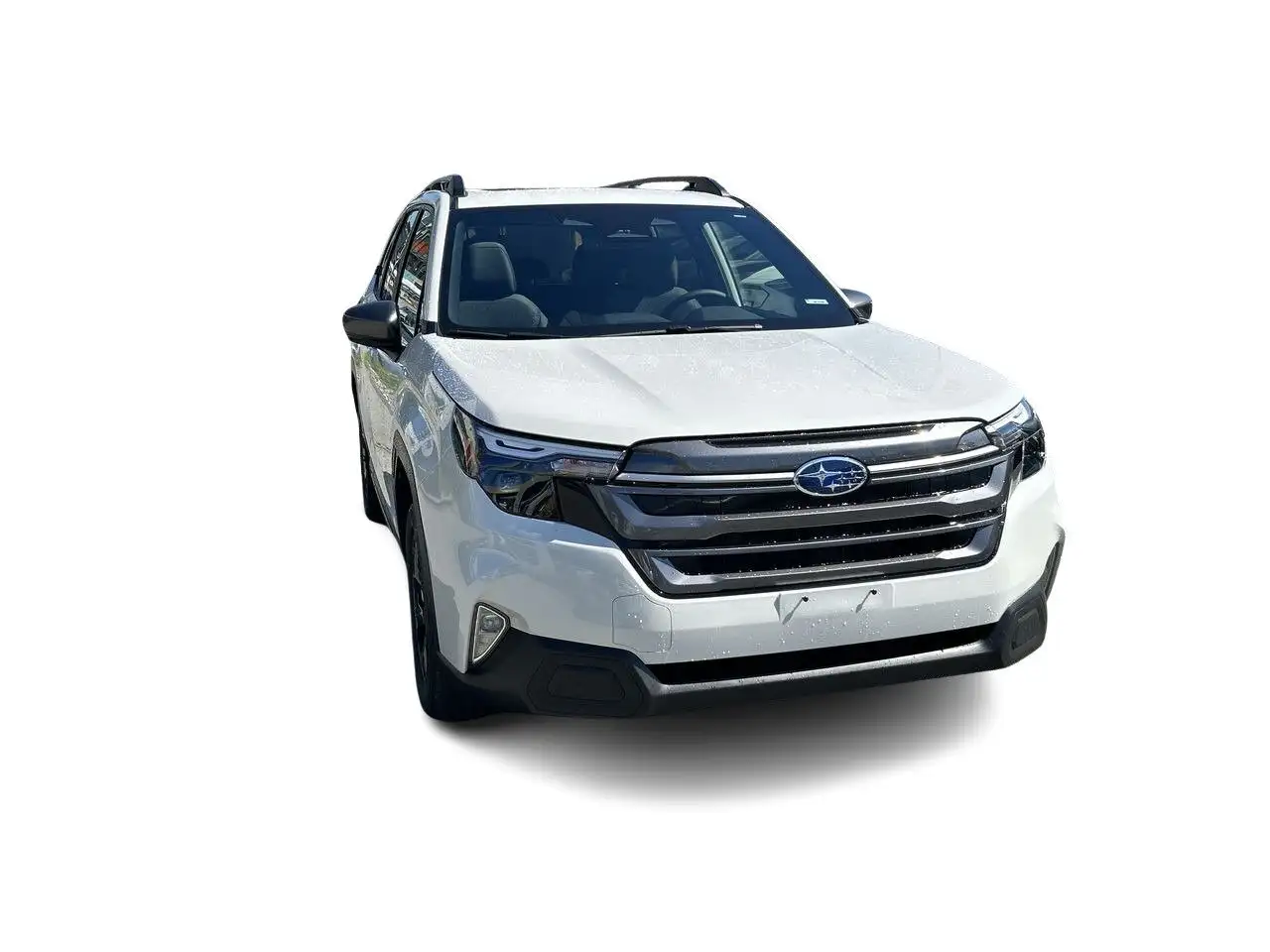 Subaru Forester fotografie Subaru Forester