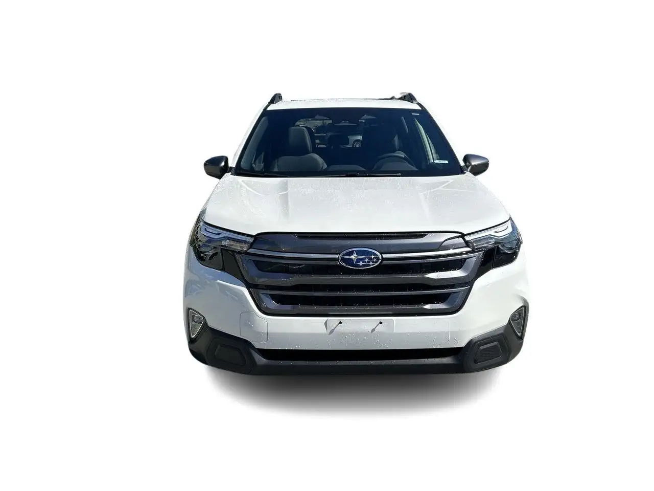 Subaru Forester fotografie Subaru Forester