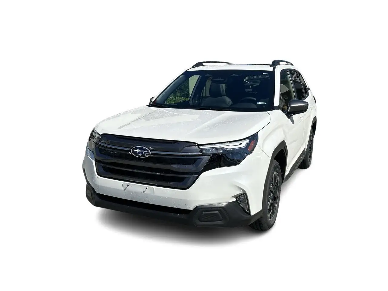 Subaru Forester fotografie Subaru Forester