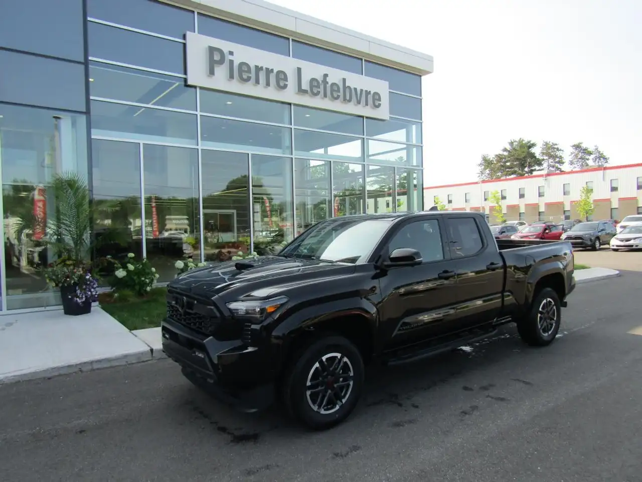 2026 Toyota Tacoma