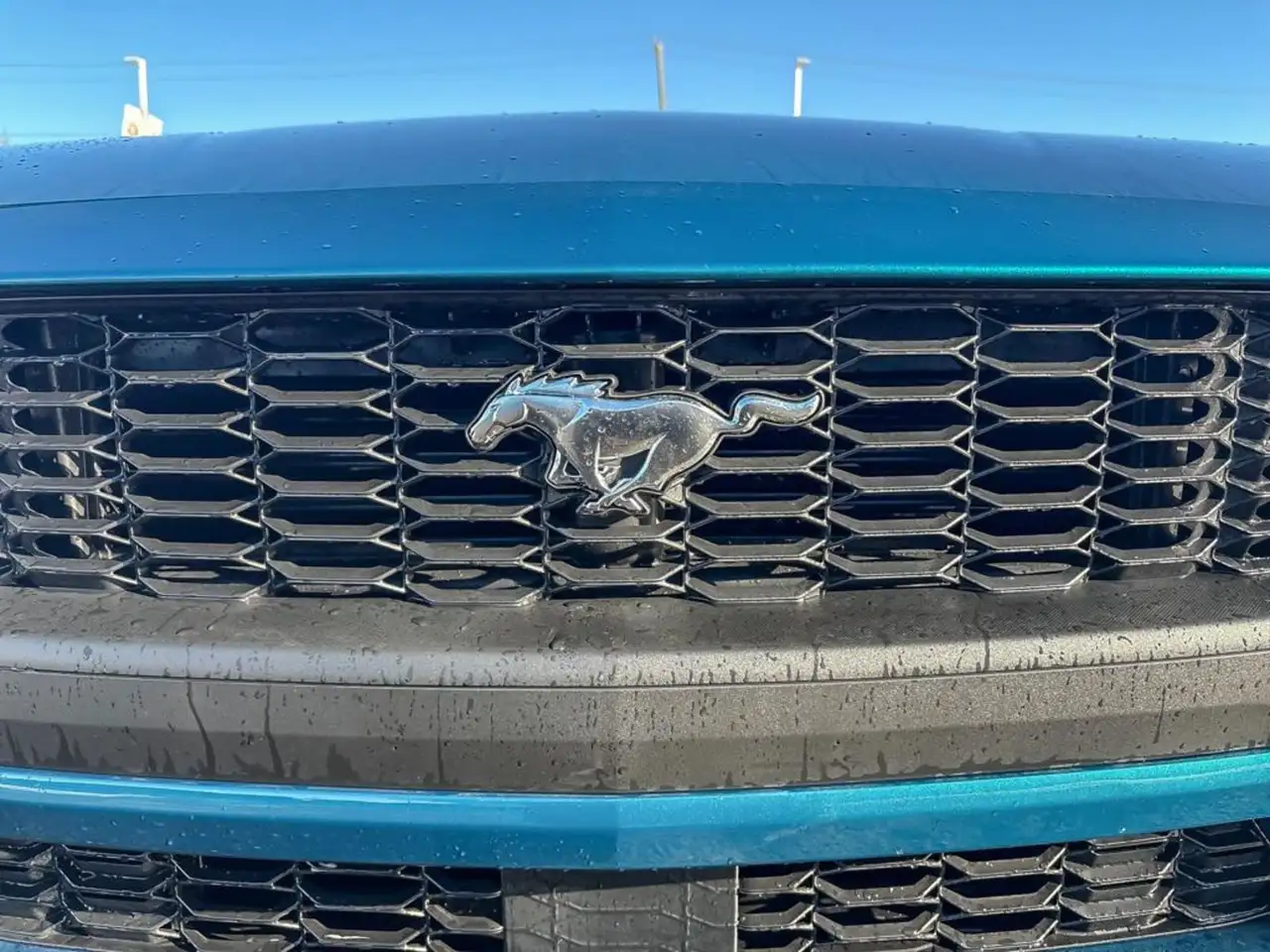 Ford Mustang снимка Ford Mustang