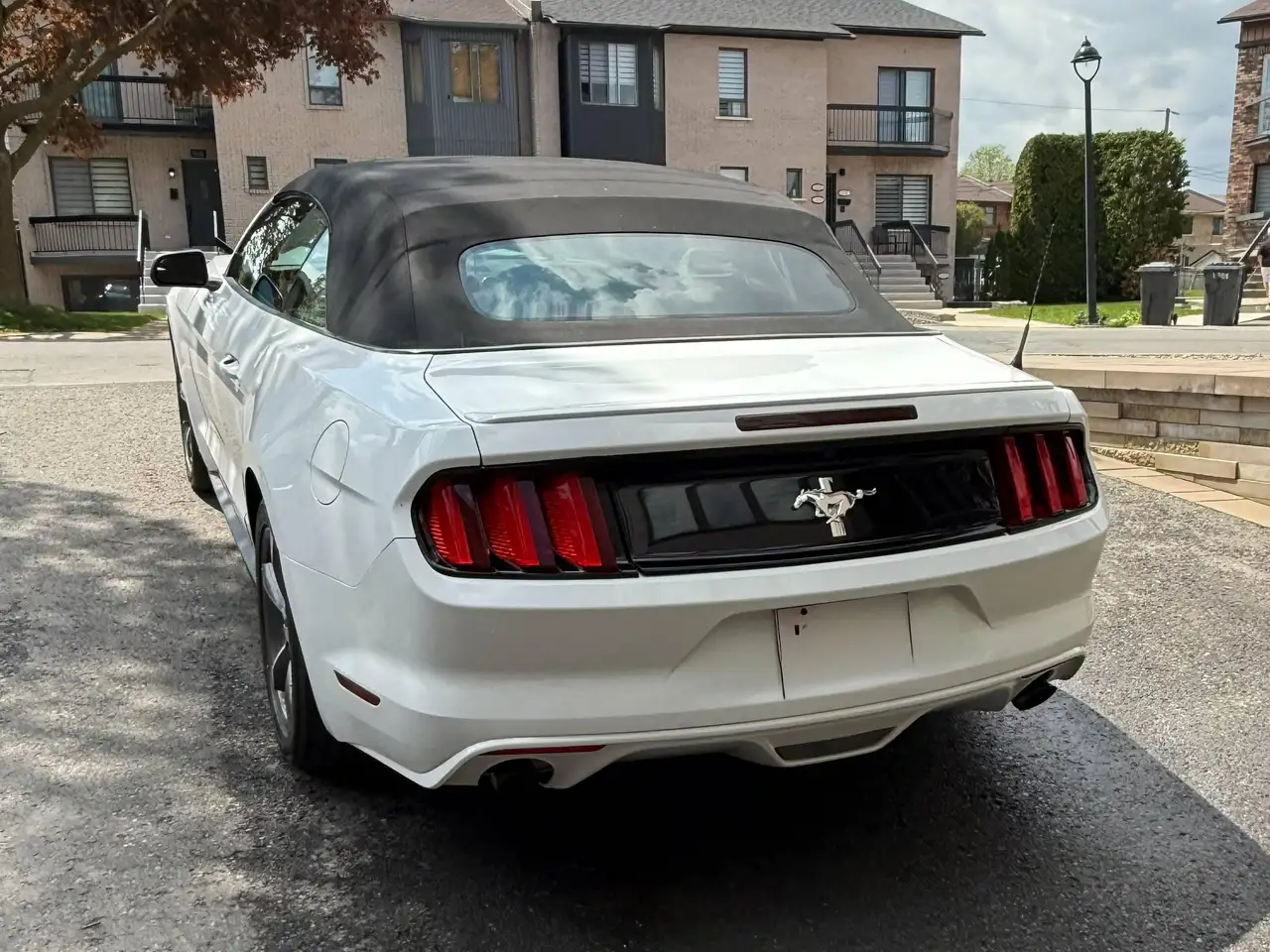 Ford Mustang photo Ford Mustang