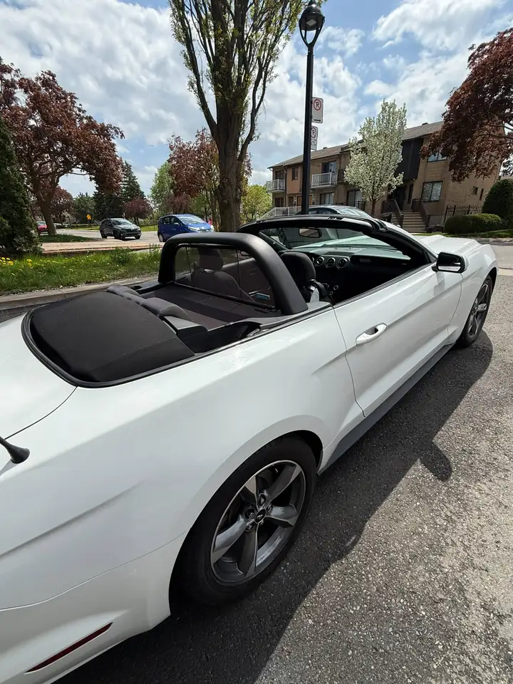 Ford Mustang photo Ford Mustang