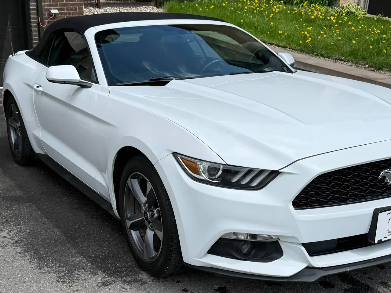 Ford Mustang photo Ford Mustang