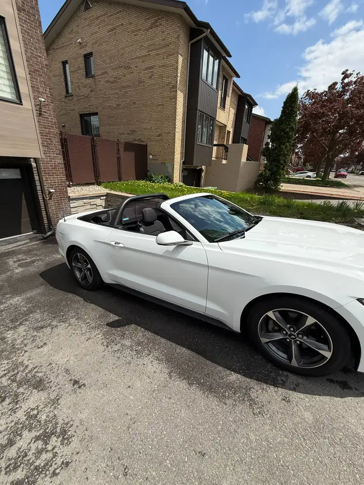 Ford Mustang photo Ford Mustang