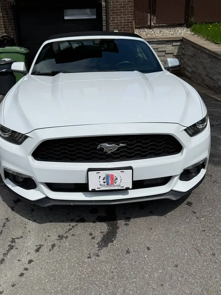 Ford Mustang photo Ford Mustang