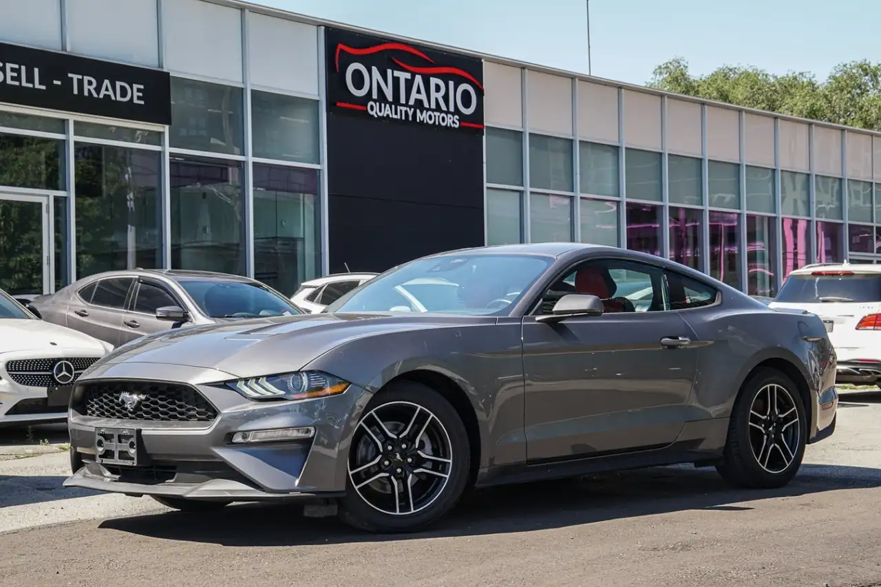 Ford Mustang fotografie Ford Mustang