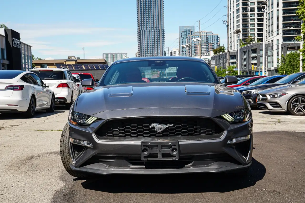 Ford Mustang fotografie Ford Mustang