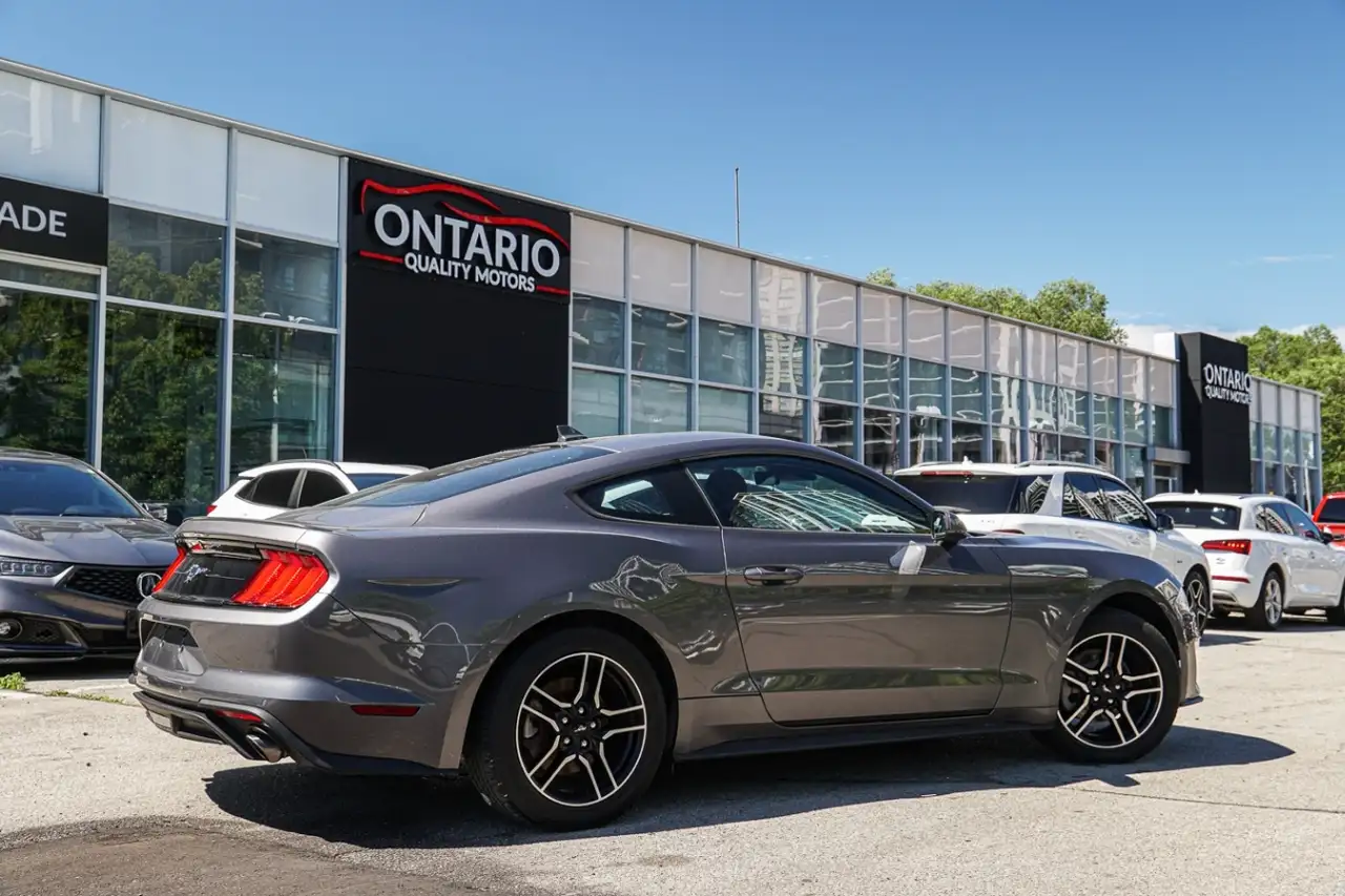 Ford Mustang fotografie Ford Mustang
