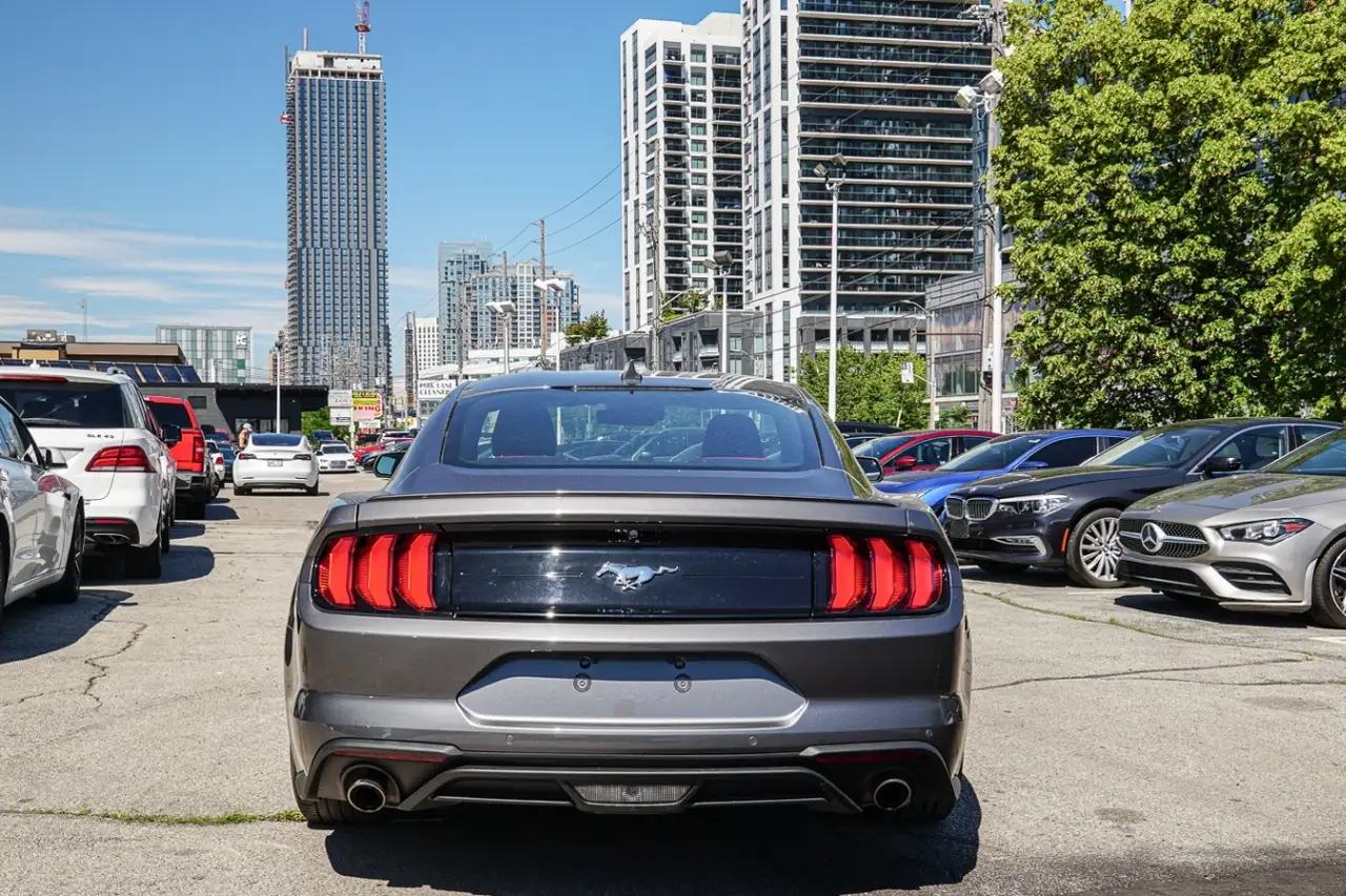 Ford Mustang fotografie Ford Mustang