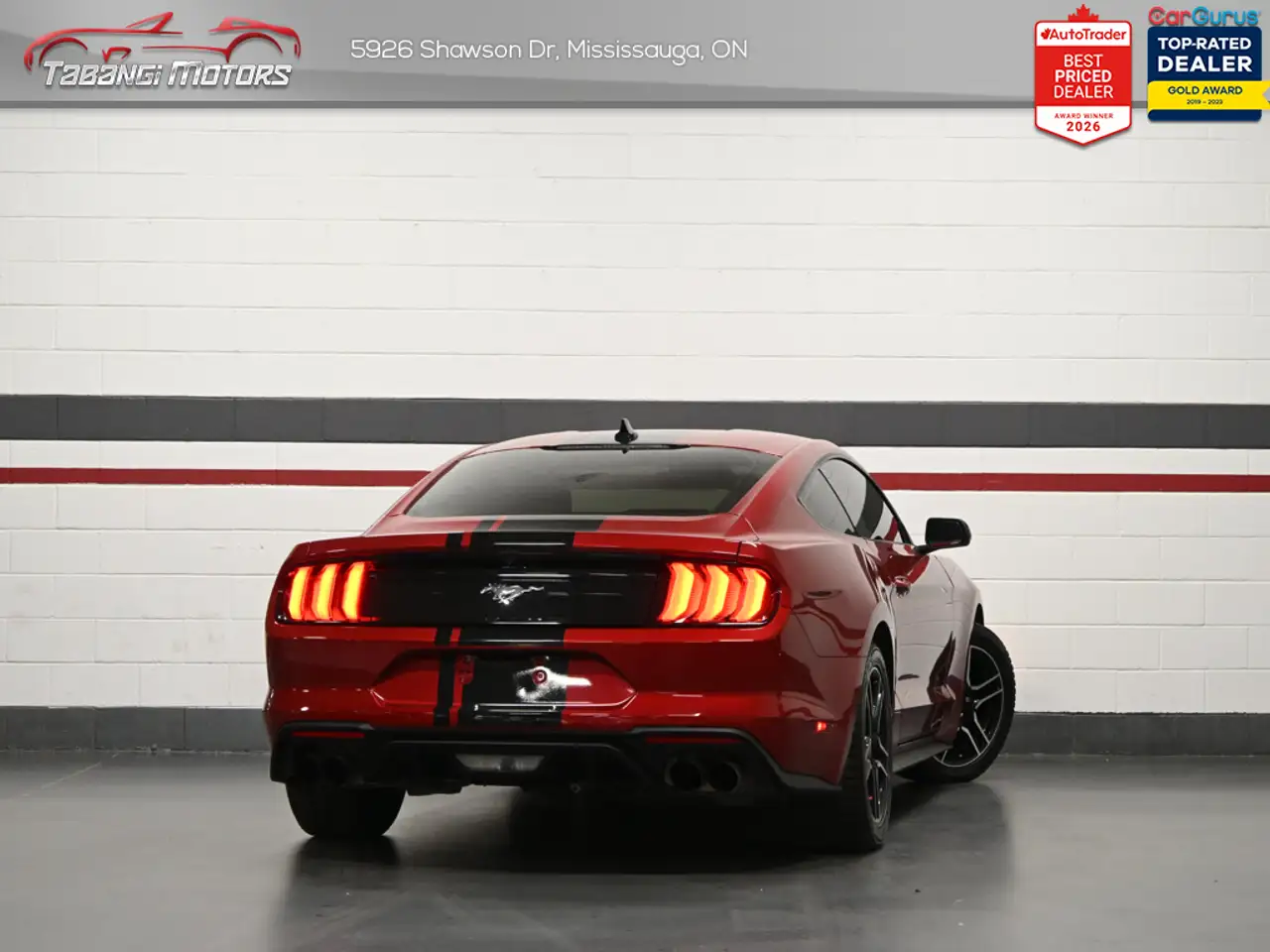 Ford Mustang photo Ford Mustang