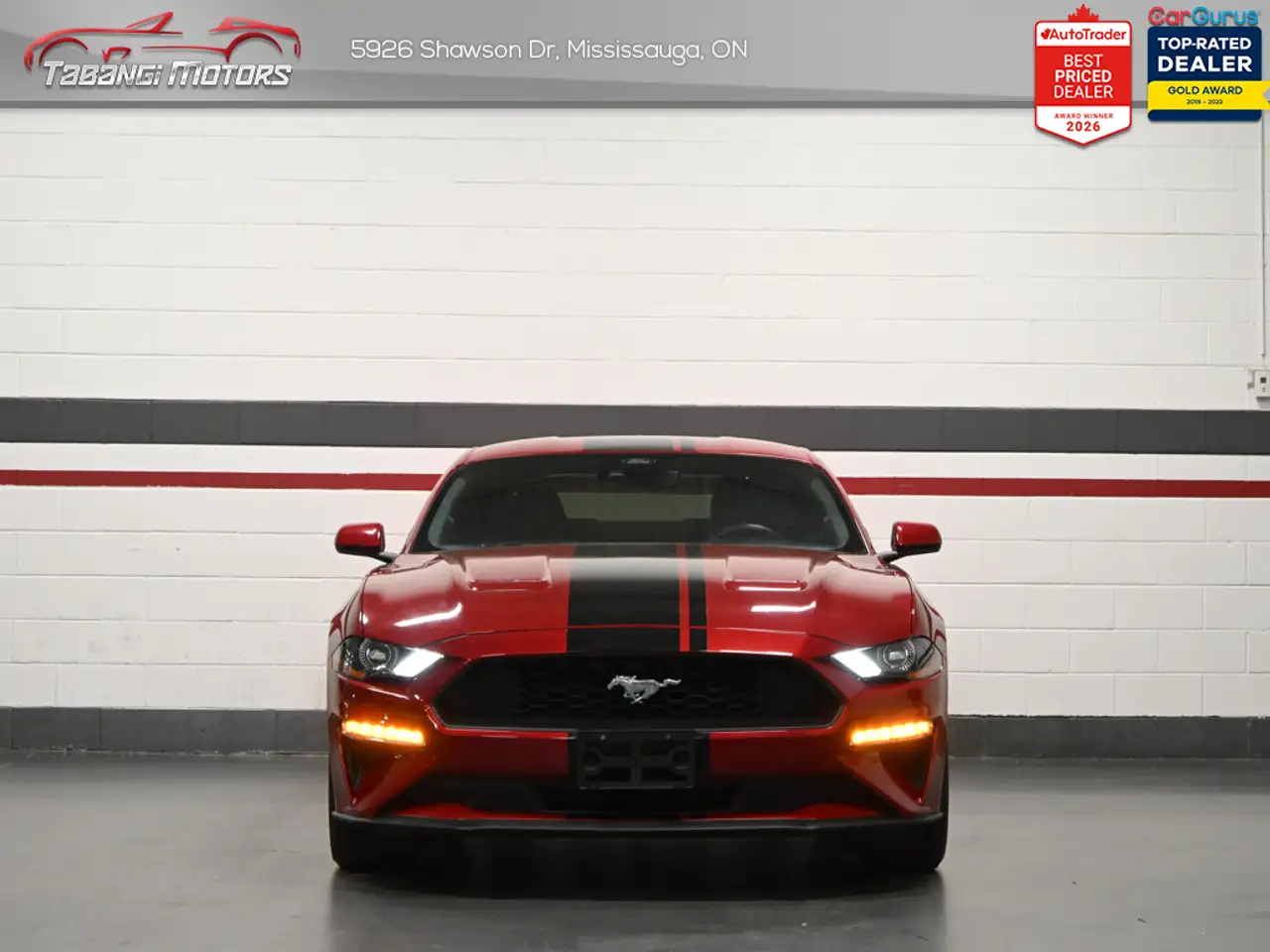 Ford Mustang photo Ford Mustang
