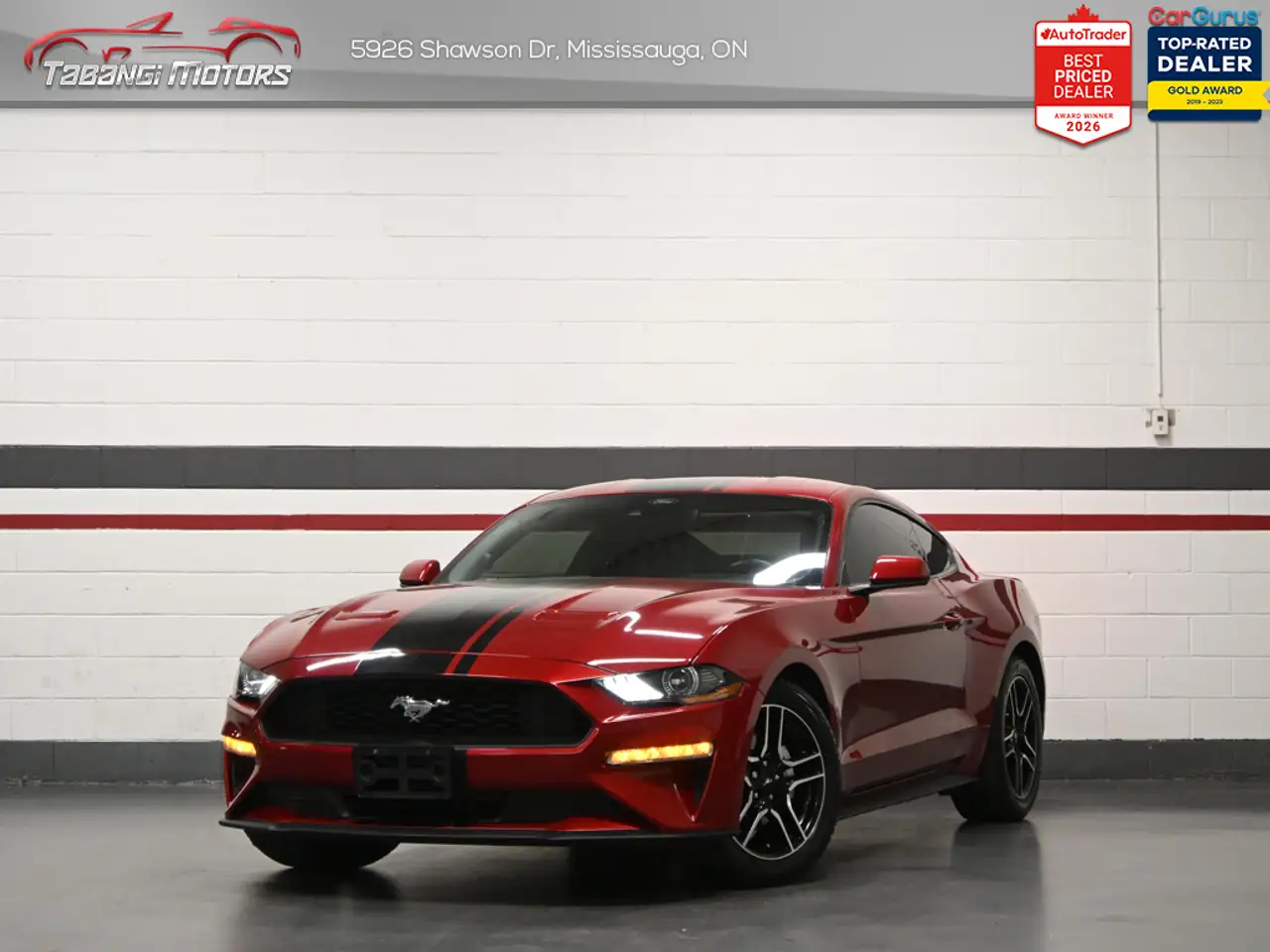 Ford Mustang photo Ford Mustang