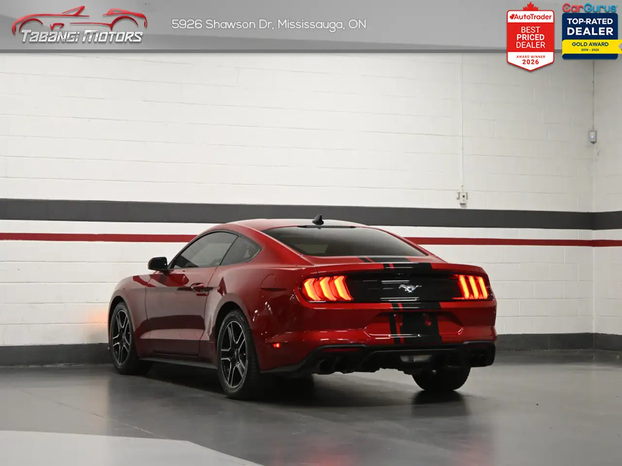 Ford Mustang photo Ford Mustang