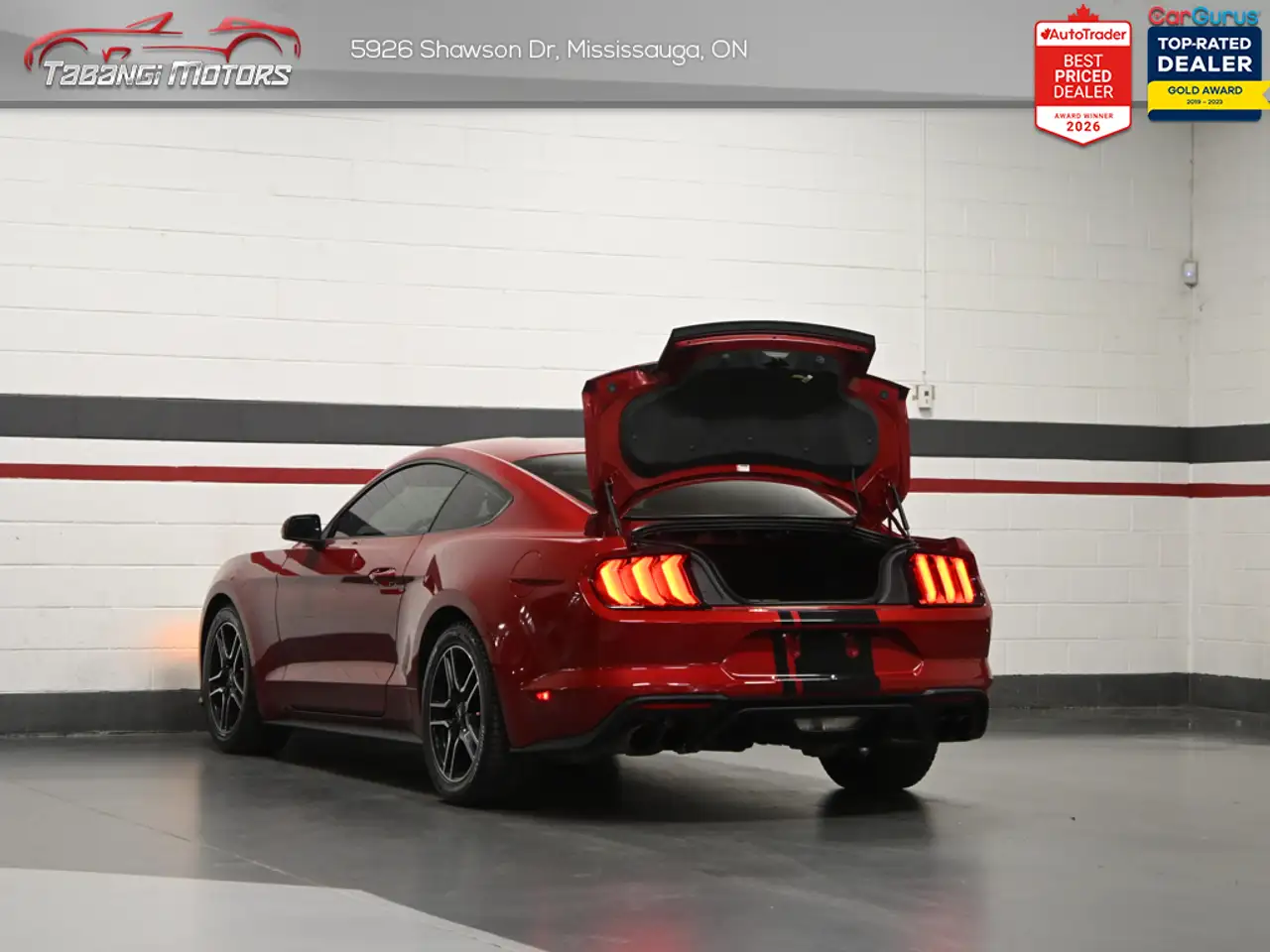 Ford Mustang photo Ford Mustang