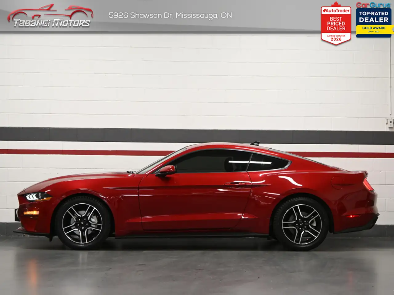 Ford Mustang photo Ford Mustang