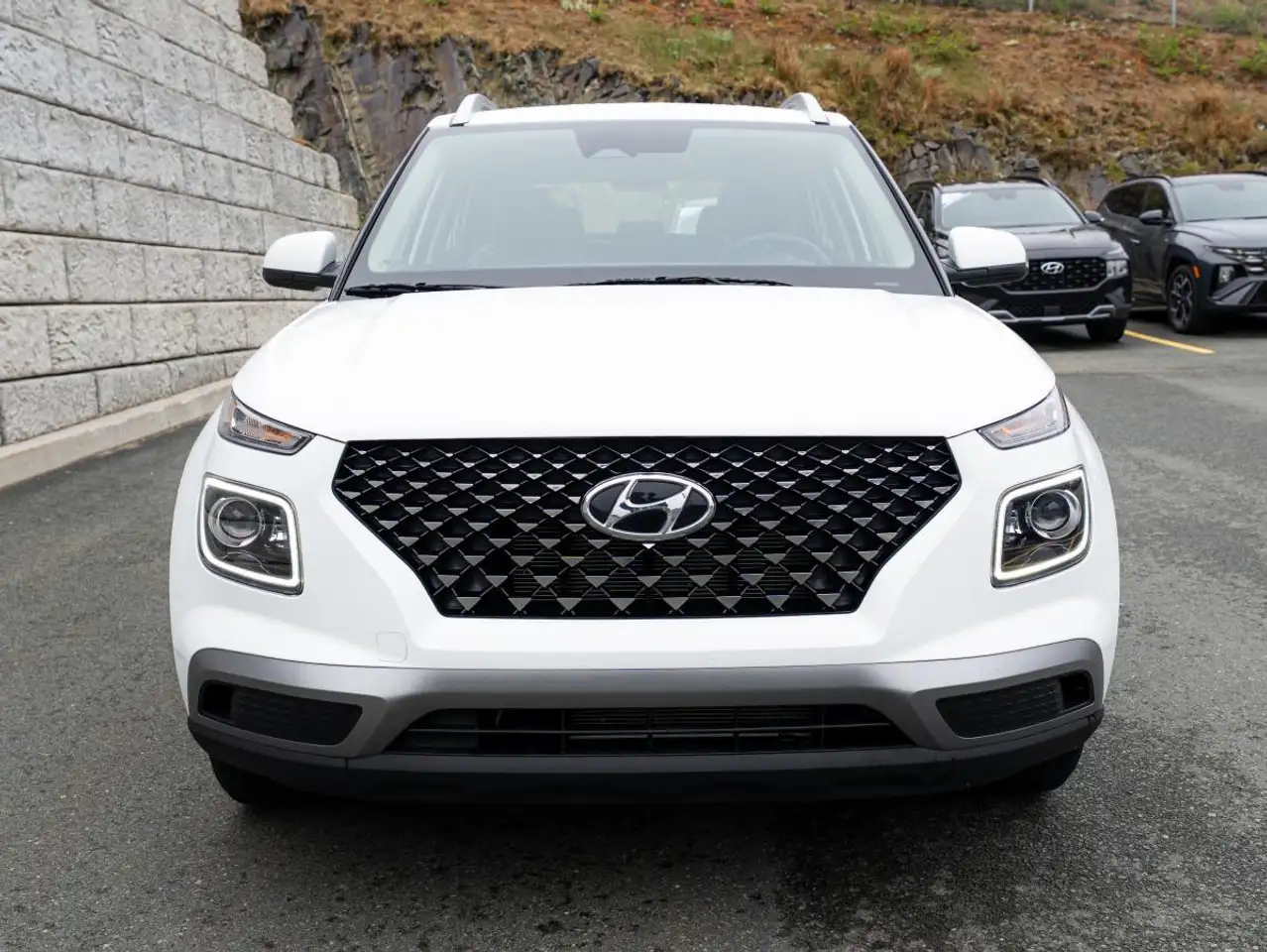 Hyundai Venue photo Hyundai Venue