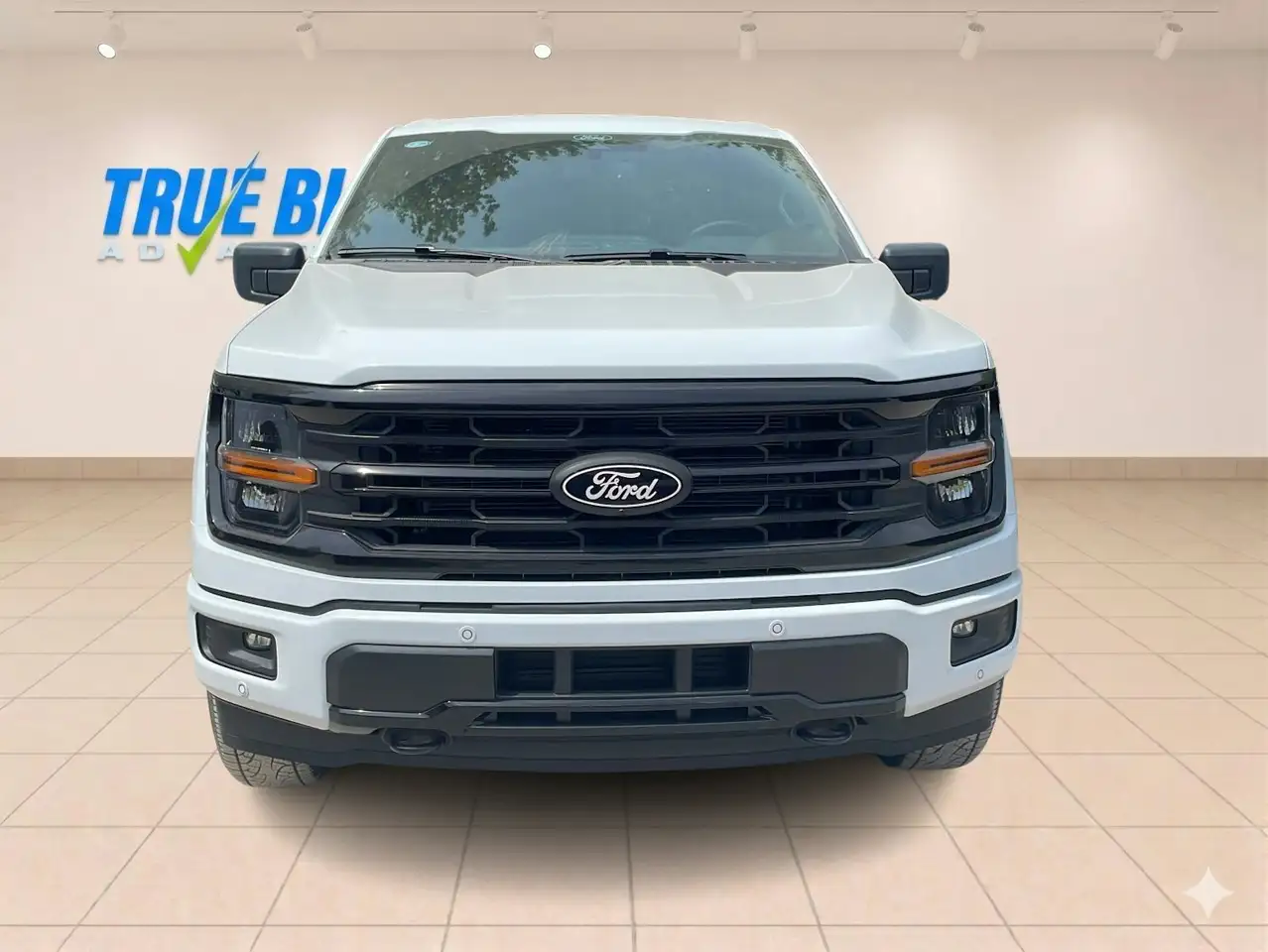 Ford F 150 photo Ford F 150