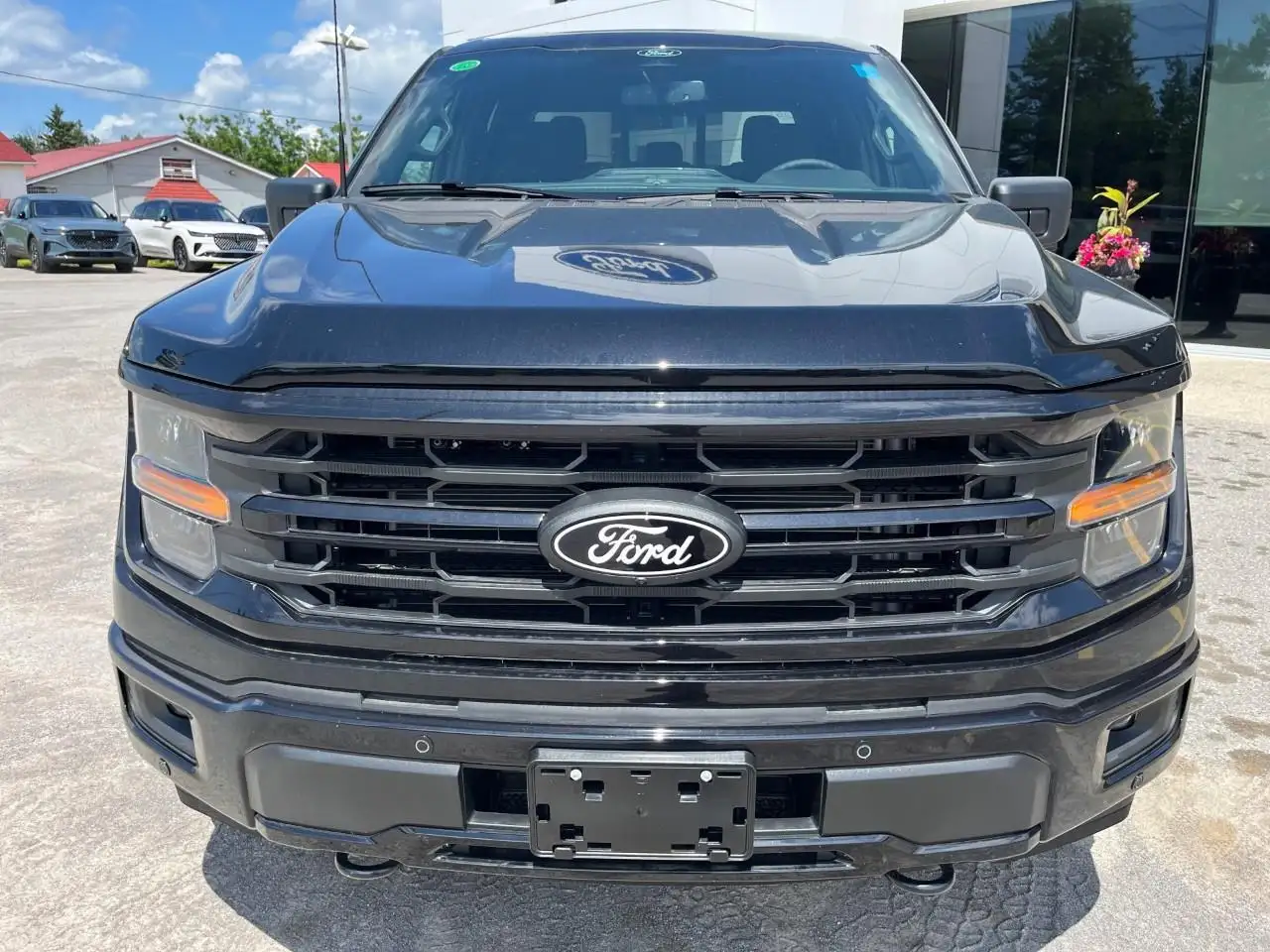 Ford F 150 снимка Ford F 150