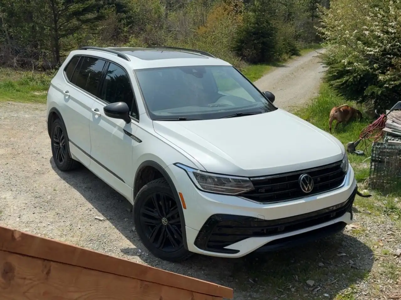 2022 Volkswagen Tiguan