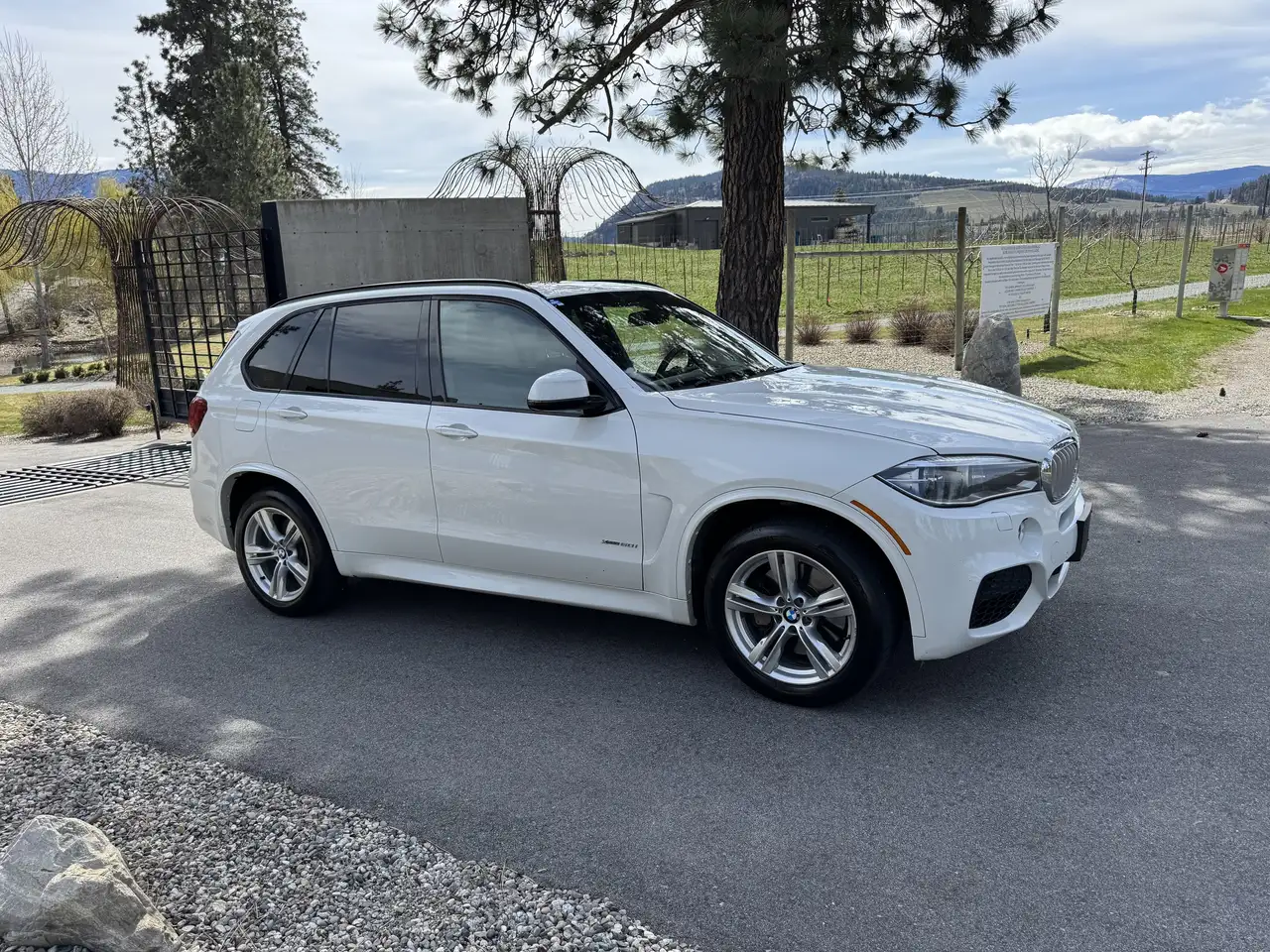BMW X5 fotografie BMW X5