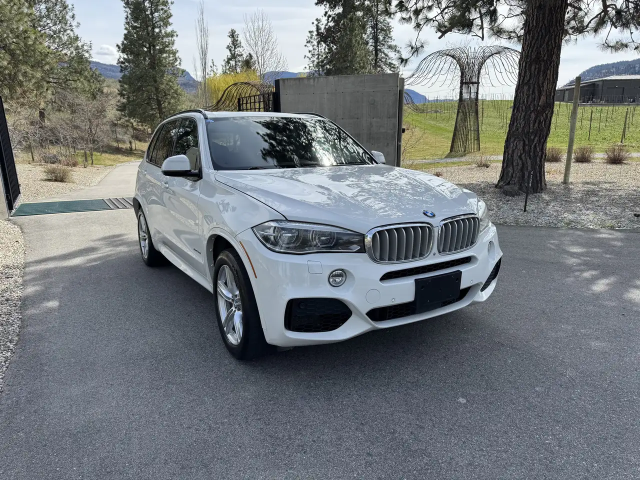 BMW X5 fotografie BMW X5