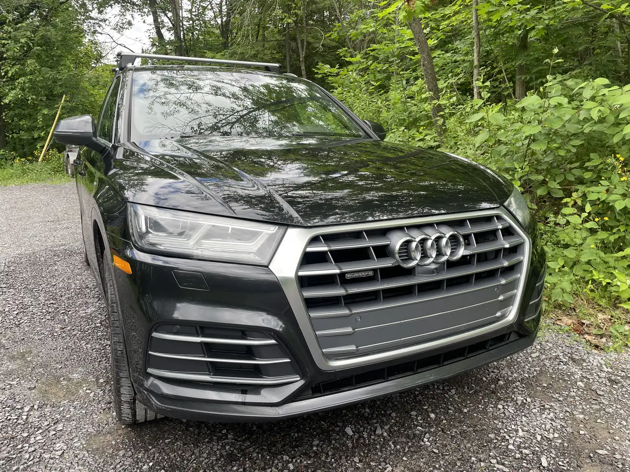 Q5 снимка Q5