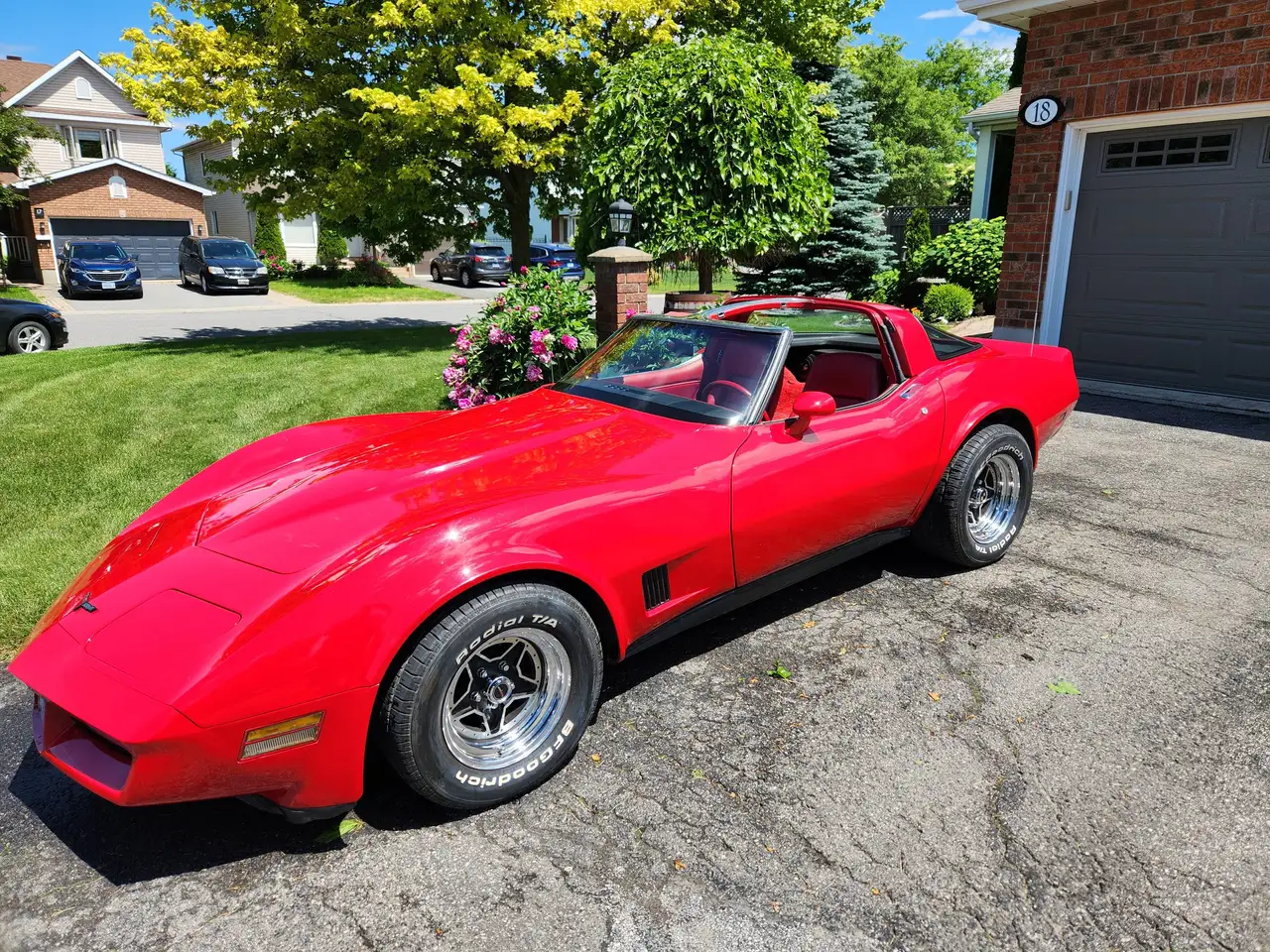 1981 Chevrolet Corvette