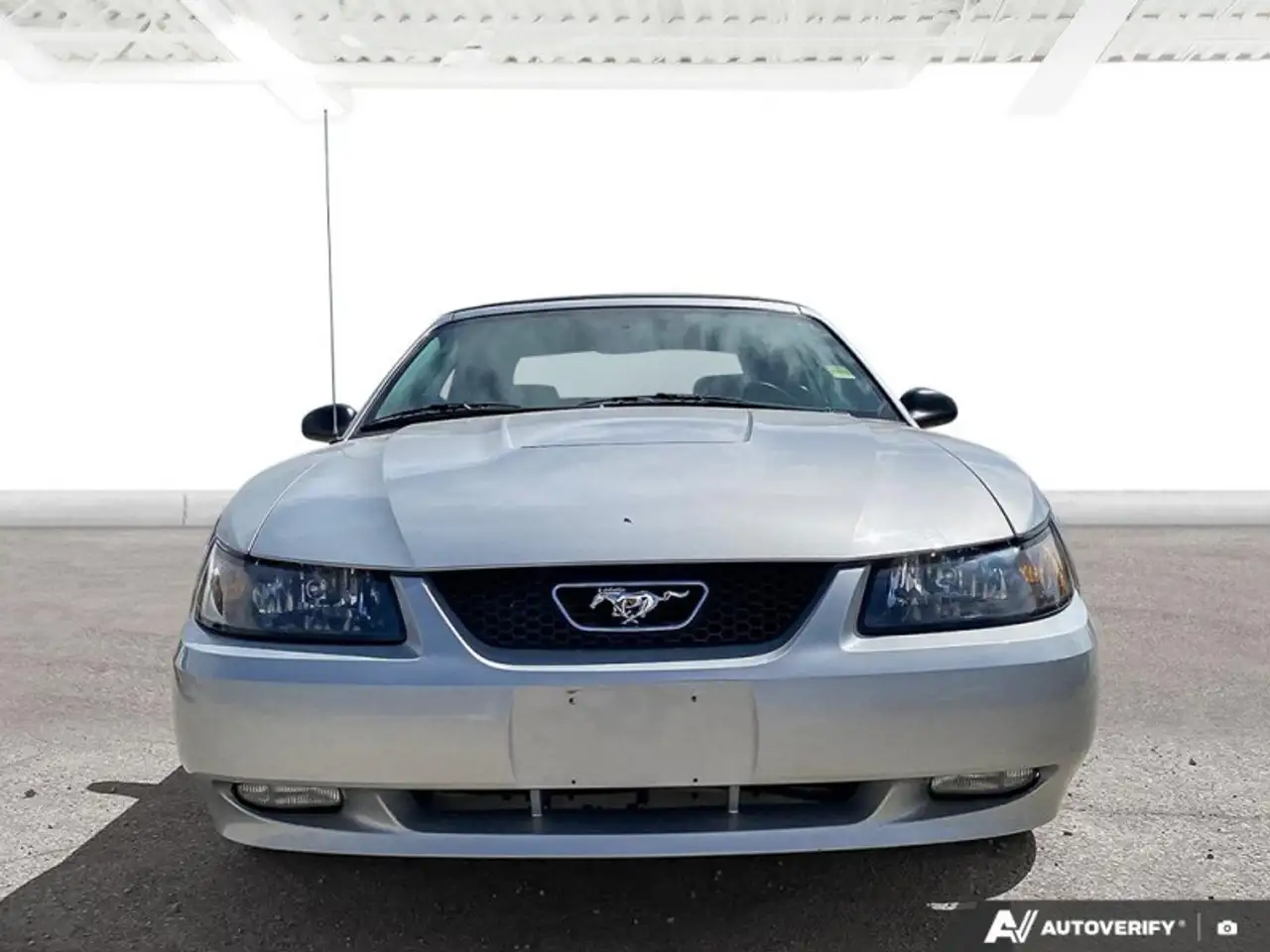 Ford Mustang снимка Ford Mustang