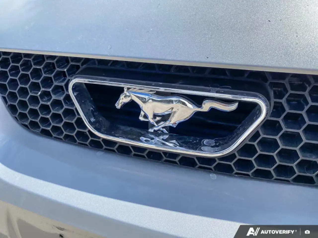 Ford Mustang снимка Ford Mustang