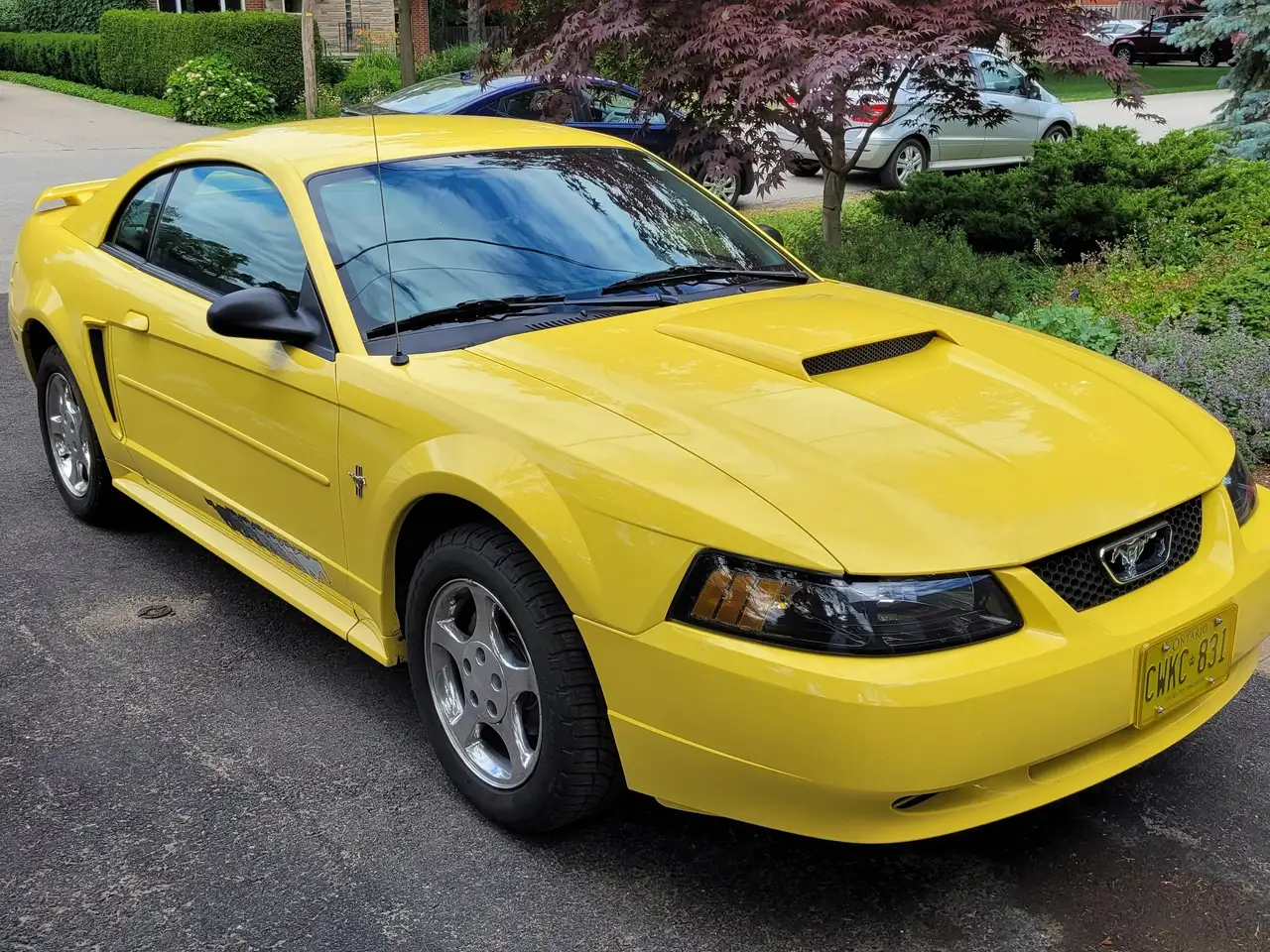 2003 Ford Mustang