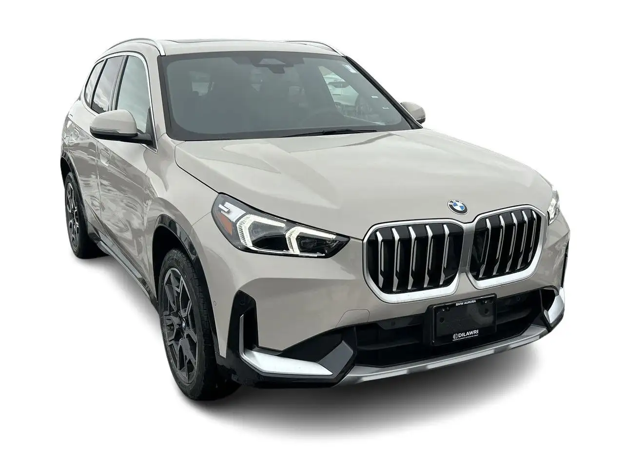 BMW X1 photo BMW X1