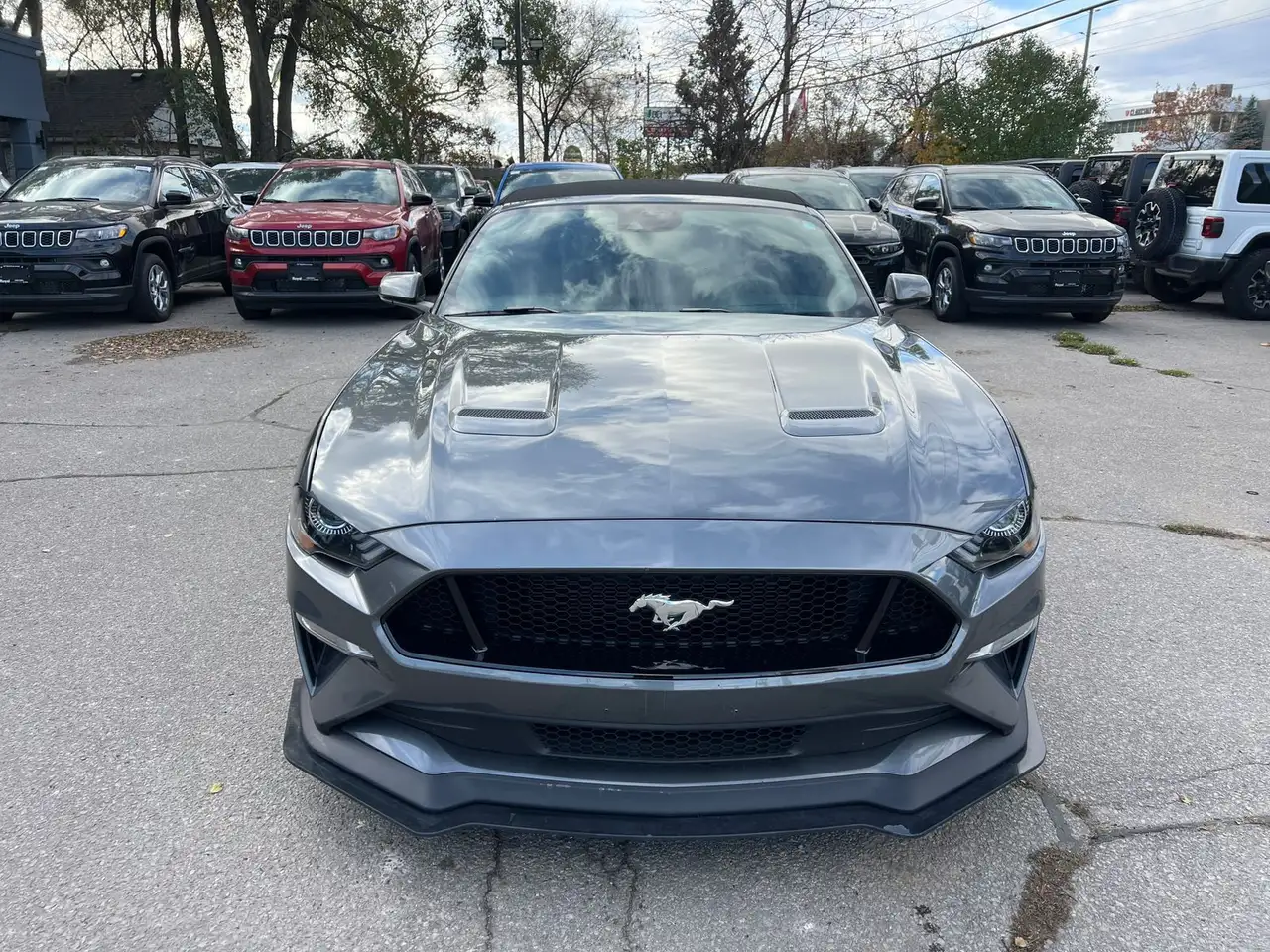 Ford Mustang fotografie Ford Mustang