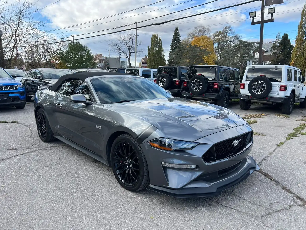 Ford Mustang fotografie Ford Mustang