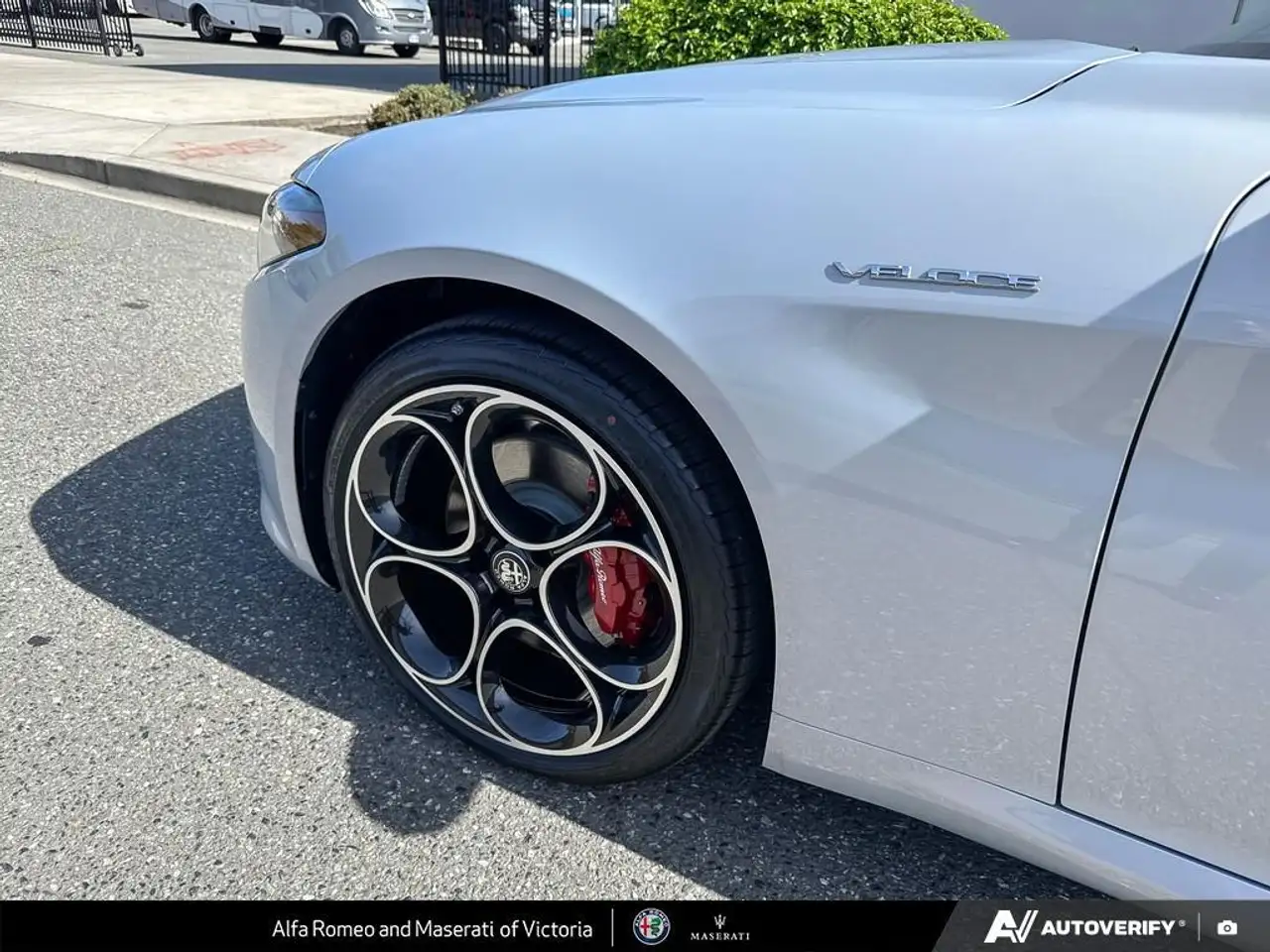 Alfa Romeo Giulia fotografie Alfa Romeo Giulia