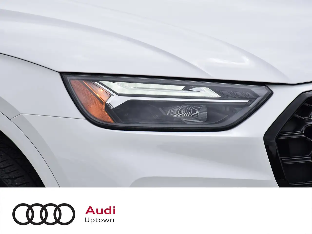 Audi Q5 fotografie Audi Q5